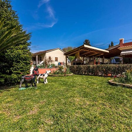 Antonela Sunshine Apartment By Corfu Escapes Perama (Corfu) Exterior foto
